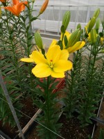 [5706 DJ AZ-05 No01.JPG]